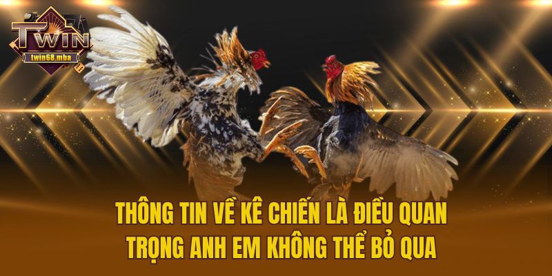 Thông tin về kê chiến là điều quan trọng anh em không thể bỏ qua