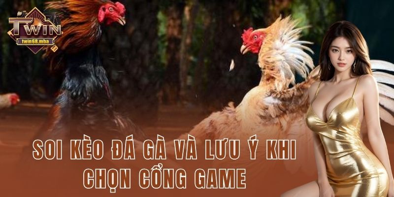 Soi kèo đá gà và lưu ý khi chọn cổng game